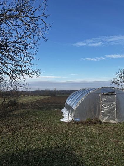 Casa de vanzare in Suplacu de Tinca 1 ha teren - 4