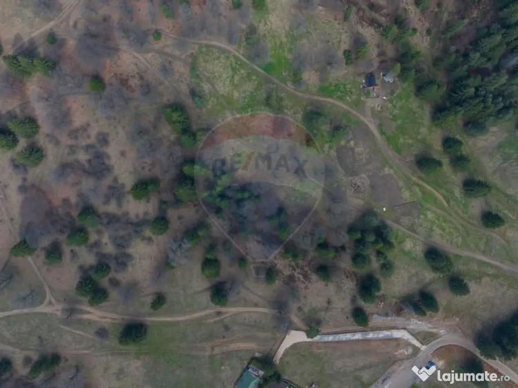 Teren Poiana Brasov, langa Stana turistica 1872mp, PUZ ca... - 5