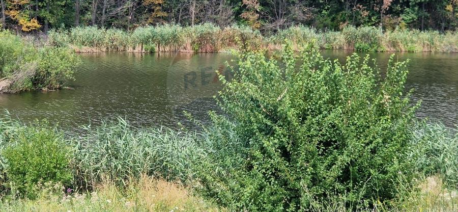 DE VANZARE Teren agricol 4500mp Moara Vlasiei - 4