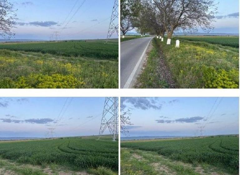 Teren cota parte 1/6 Paunesti, ID: R2547851 - 10