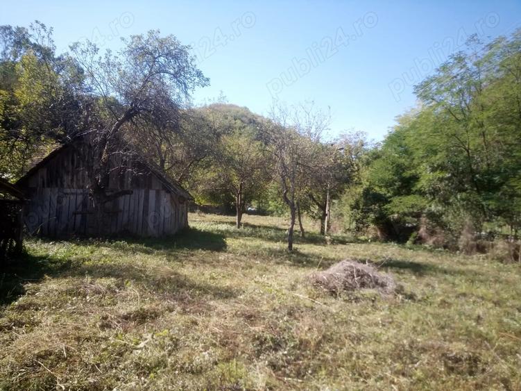 Vand Casa Halmagiu Sat Tisa - 2