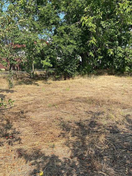 Vand Teren 1500 m2 (Sau 2 loturi a 750 m2 fiecare) (Pret negociabil) - 5