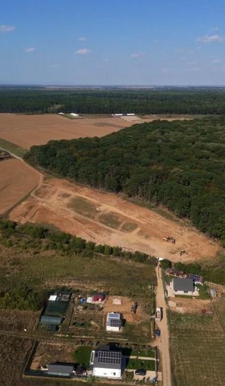 LOT DE VANZARE cu deschidere la padurea Snagov - 10