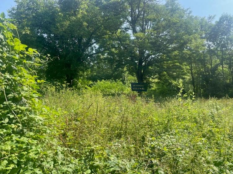 Teren constructii ultracentral Slanic Prahova - 1