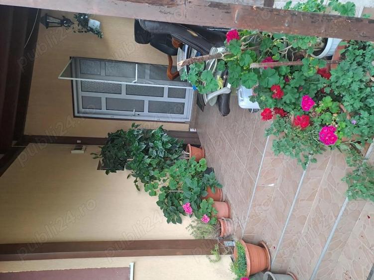 Dau in chirie casa in Marasti - 4