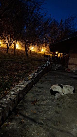 Proprietar vand vila Campulung Muscel str Dracesti 34 colt str Plaies - 8