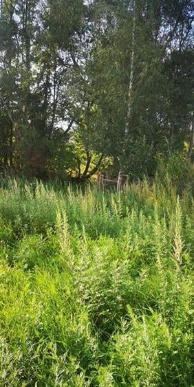 FILM! Constructie rustica tip Casa Verde, cu parau si panorama impresionanta, Mo - 22