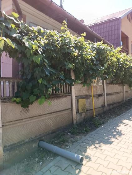 vand casa sau schimb cu garsoniera sau apartament - 1