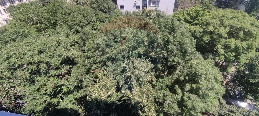 Apartament de inchiriat cu doua camere decomandate zona B... - 5