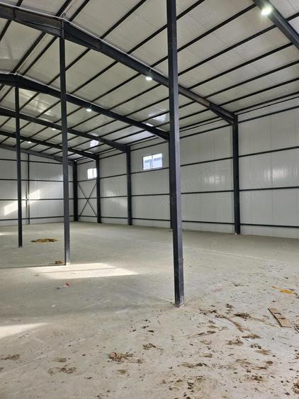 Hale noi 2026 AFUMATI ( Moara Domneasca ) 2300 Euro - 8