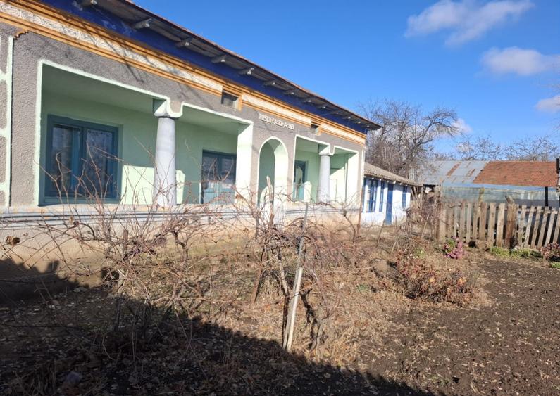 Casa in Sat Segarcea Deal jud. Teleorman - 1