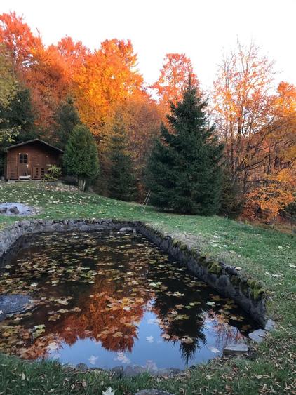 Vand cabana deosebita cu 4 cam. in mijlocul naturii,statiunea Bucin - 9