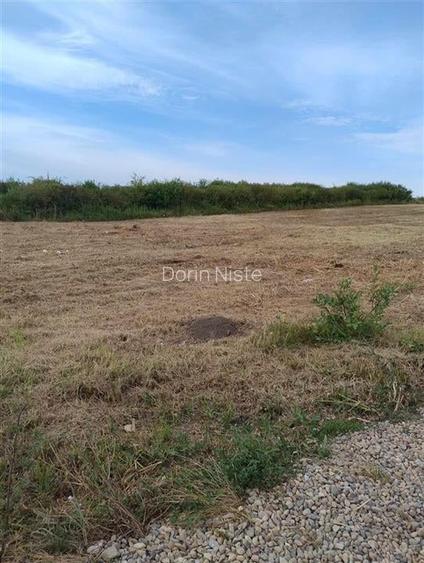 RECO Teren intravilan, Paleu