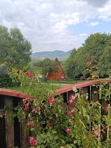 Vilă spectaculoasă de vânzare în Moeciu de Sus | Vedere panoramică. - 5