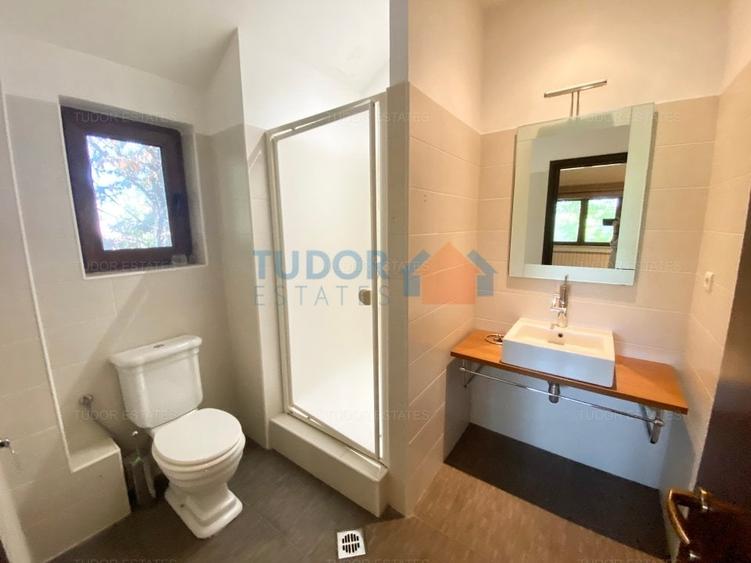 Vila cu piscina Iancu Nicolae - 9