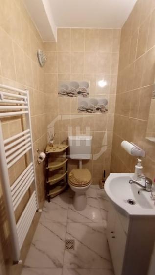 Spatiu comercial in zona Cetatii Floresti - 7