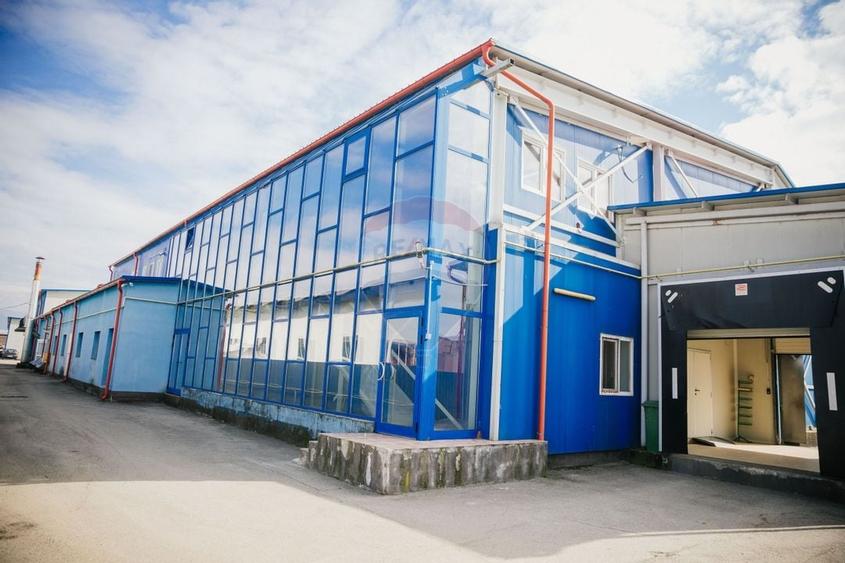 De vânzare AFACERE la cheie--CARMANGERIE--ABATOR--PREPARARE MEZELURI - 2