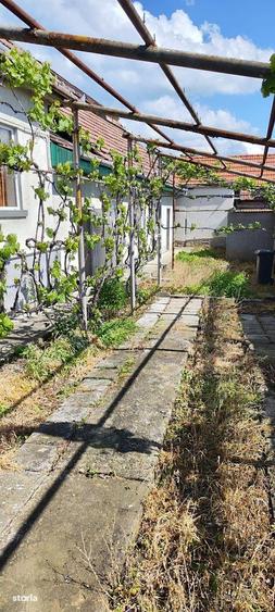 Casa individuala cu 3 camere , curte proprie, pod ,pivnita, Blaj-Hula - 2