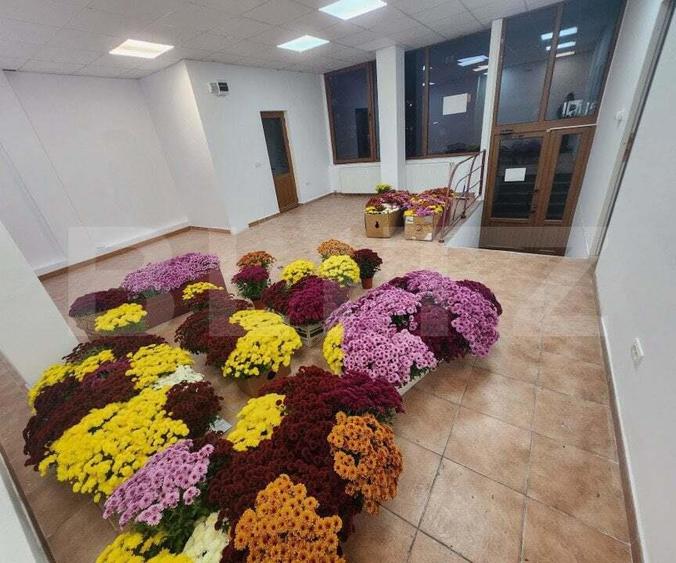 Spatiu comercial de inchiriat, 60 mp, zona-centrala - 3