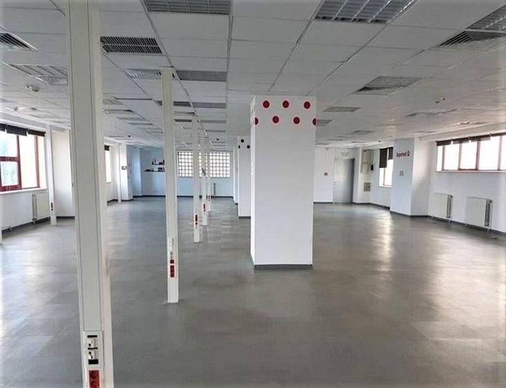 Danielle Business Center, spatii de birouri de la 250 mp - 4