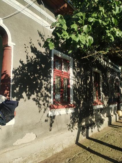 Vand casa batraneasca 3700 m2 Bragadiru Teleormani - 6