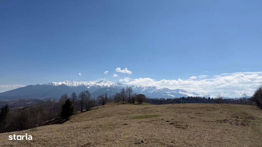 Teren 4584 mp de vanzare Pestera, Moeciu, Brasov - 4