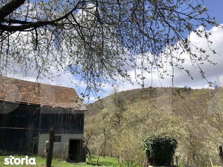 Casa rustica cu livada in Zalan - 2