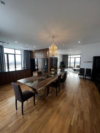 Iancu Nicolae : Penthouse spectaculos, cu terase de peste 300 mp ! - 8