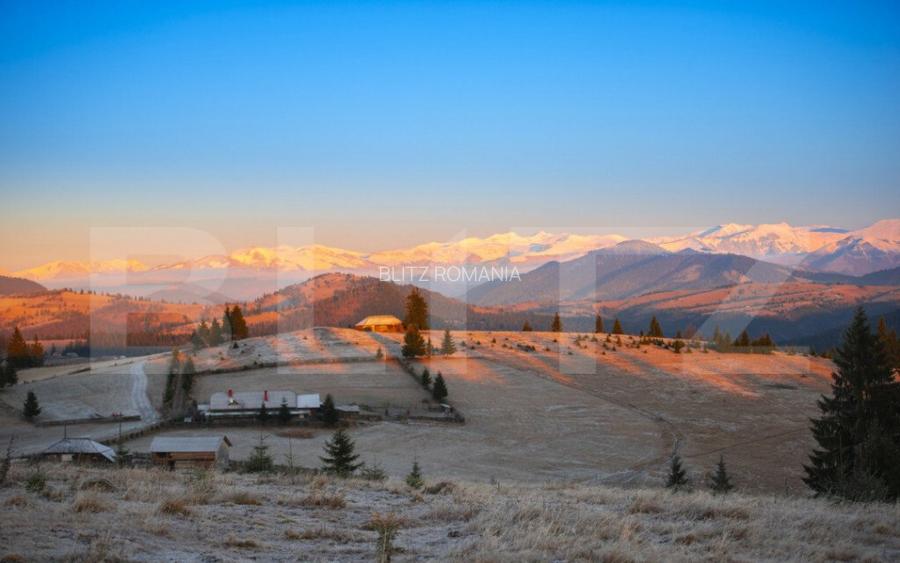 Teren Piatra Fantanele 2500mp Teren Piatra Fantanele 2500mp