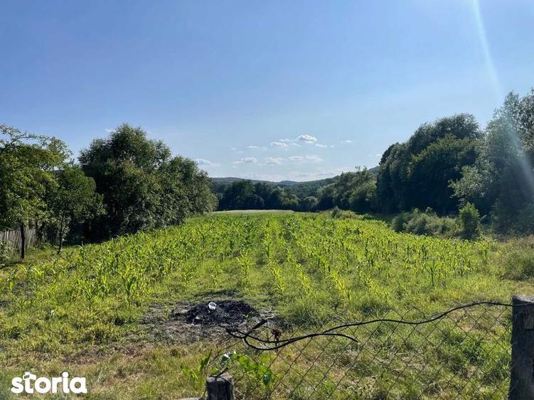 Vand Casa + teren 12.000 mp in Cernisoara, sat Modoia, Valcea - 2