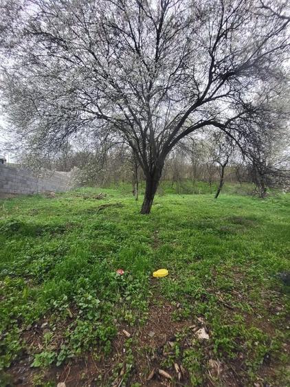 OPORTUNITATE!!! CASA DE VANZARE IN CÂLNIC LA 35.000 EURO - 9