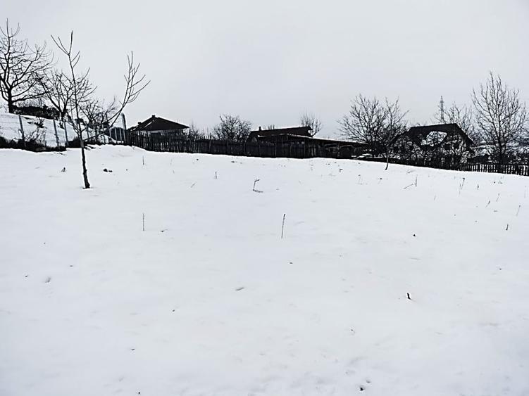 1400 mp. Deschidere 38 m Teren Intravilan CETATE Valea Popii utilitatile langa - 6