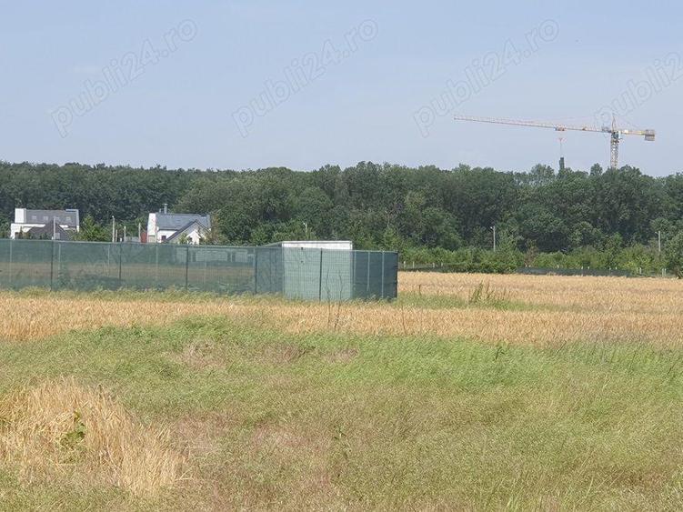 Teren situat in Balotesti,langa padure,acces drum pietruit, 28000 euro - 8