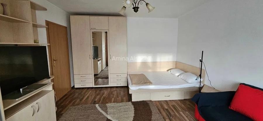 Inchiriere Garsoniera Spatioasa Doamna Ghica