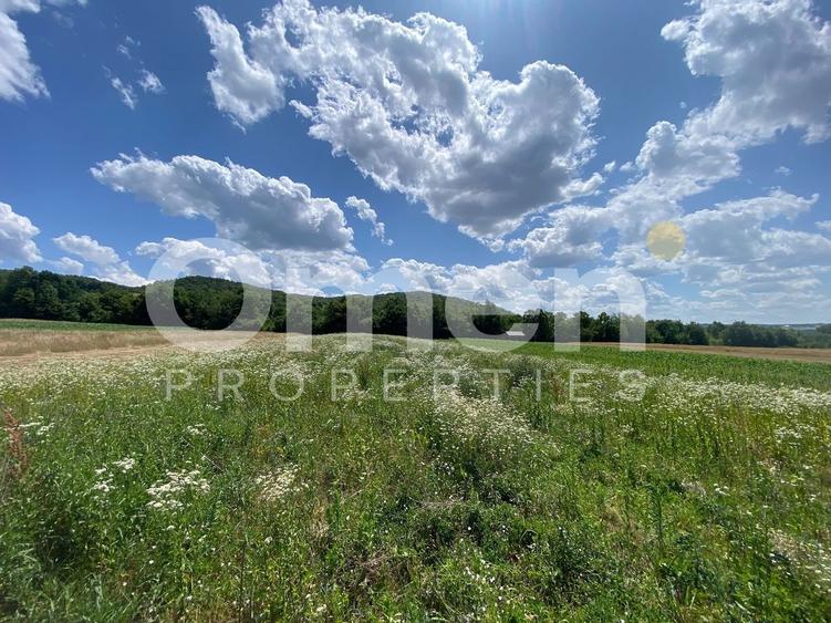 Teren de vanzare in Coas, zona linistita - 4