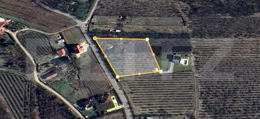 Teren Vanzare Plopu(GALMEIA)Oportunitate Investitie-DEZVOLTATOR IMOBILIAR - 2
