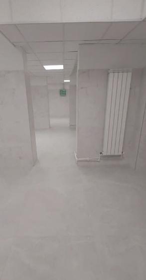 Zona Bd. Unirii S+P 213 mp open space - 11