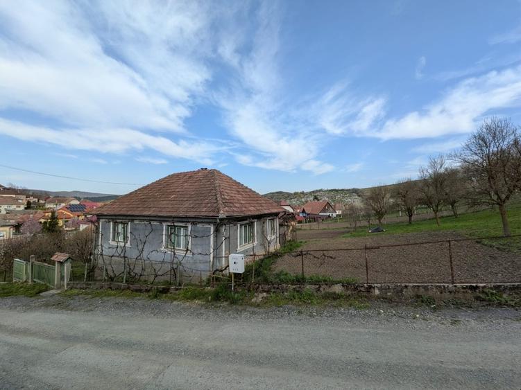 Vând teren+casă în comuna Sic - 3