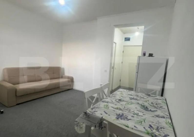 Apartament 1 camera CIUREA - 7