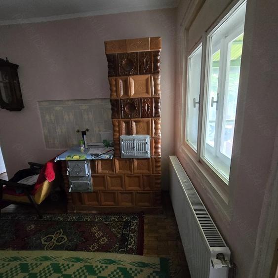 Vand casa 250 m2 Bocsa - 2