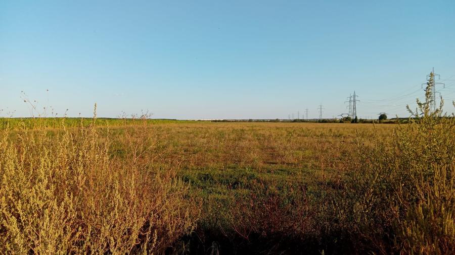 Teren Construcții extravilan de 35000 mp, în Exterior Sud