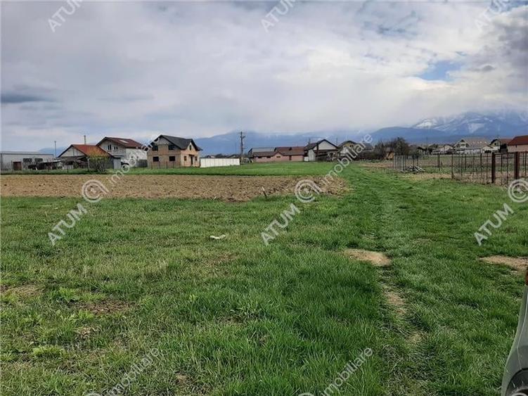 eren intravilan 1400 mp de vanzare pe Valea Avrigului - 6