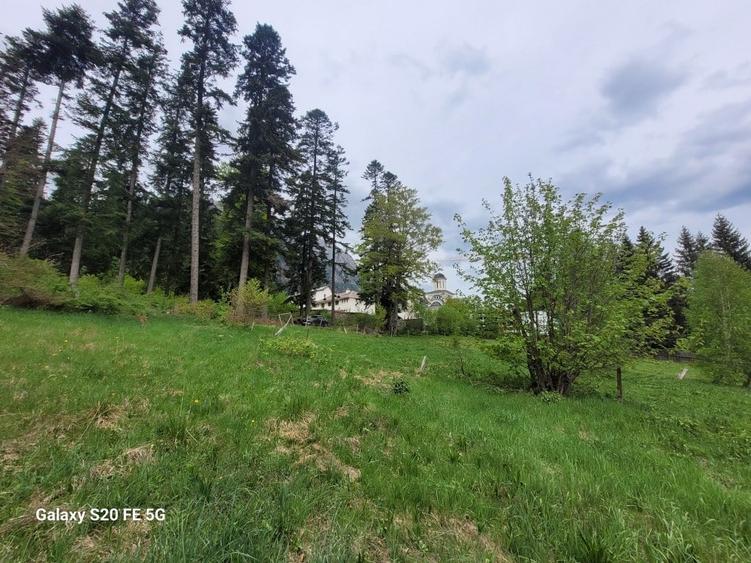 Teren intravilan de vanzare in Busteni - 3