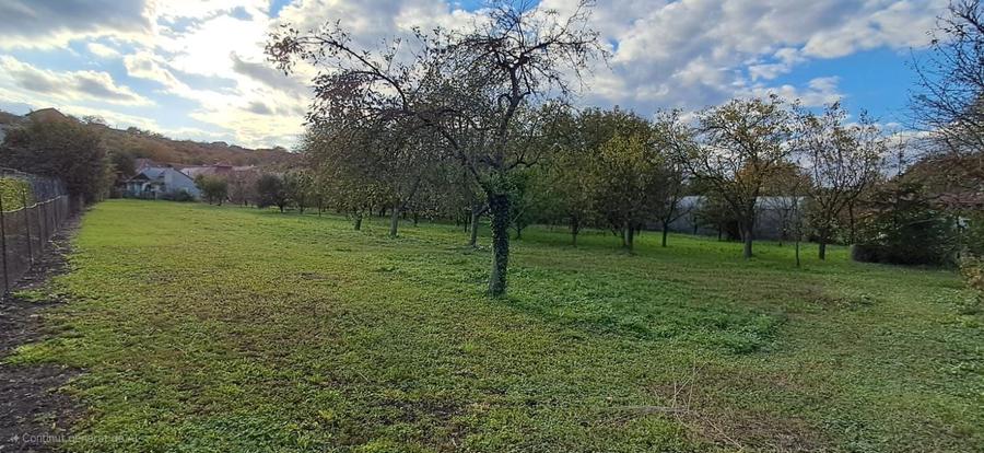 Teren Intravilant 2497 mp. Ideal pentru o constructie rezidentiala!!! - 3