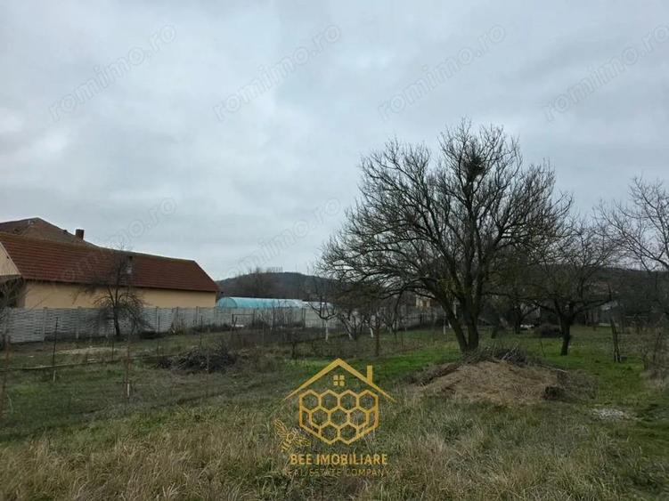 Teren 1.451 mp INTRAVILAN in Podari Toate utilitatile - 7