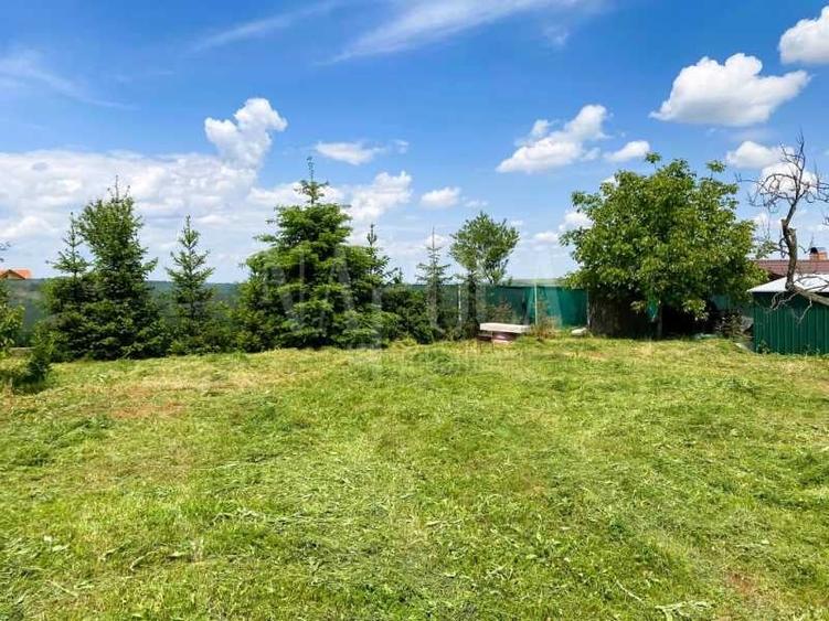 Teren intravilan pentru constructii de vanzare in Paleu - 5