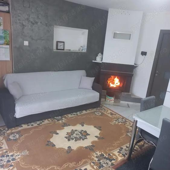 Vand casa Lozna jud Salaj - 9