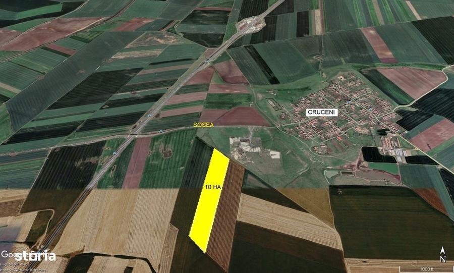 Teren agricol de vanzare - 100.000 mp - com. Sagu, jud Arad - 4