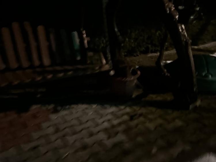 Casa P+M Zona Hotel CETATE 715 mp Teren Garaj Terase Piscina ideal Regim Hotelie - 6