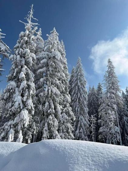 Vila S+P+2E Predeal Ideal Investitie - 1